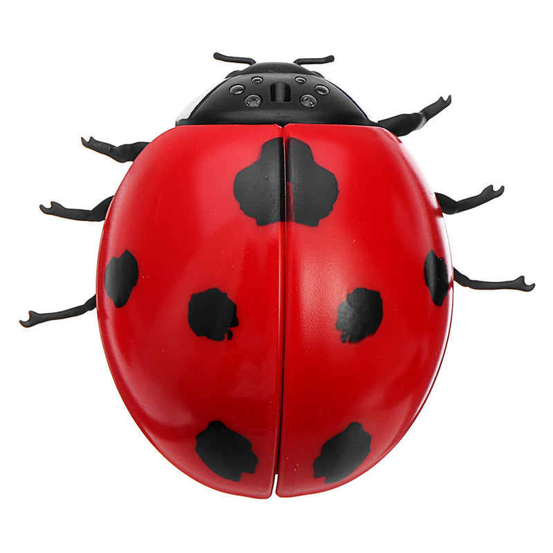 Jittery: Lady Bird - RC Controlled Bug