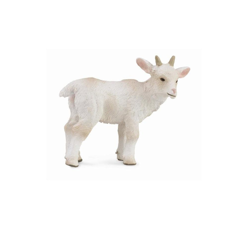 CollectA | Goat Kid Figurine - Standing