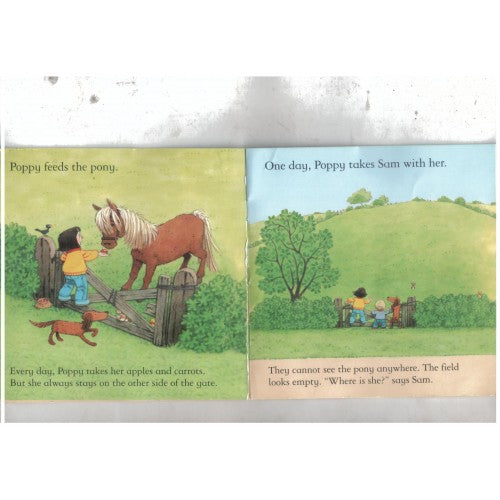 The New Pony | Usborne  Farmyard Tales Mini book Series