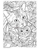 Cats and Kittens Coloring Book: Colour and Learn about