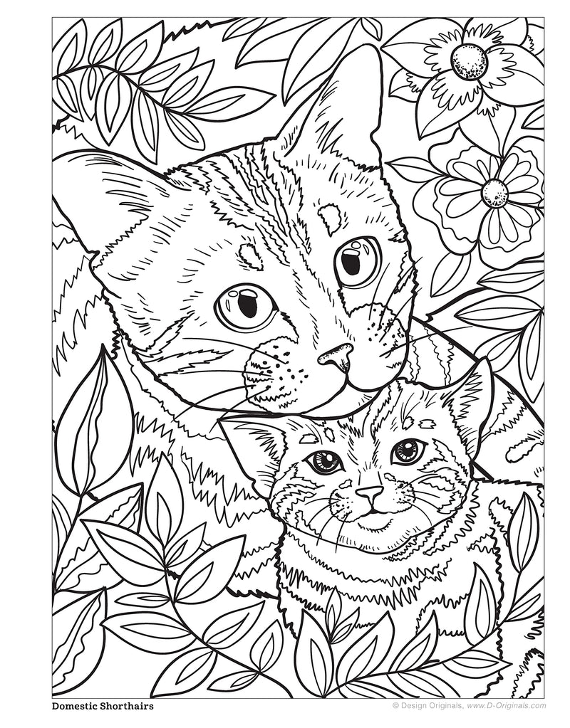 Cats and Kittens Coloring Book: Colour and Learn about