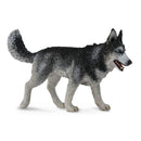 CollectA Siberian Husky