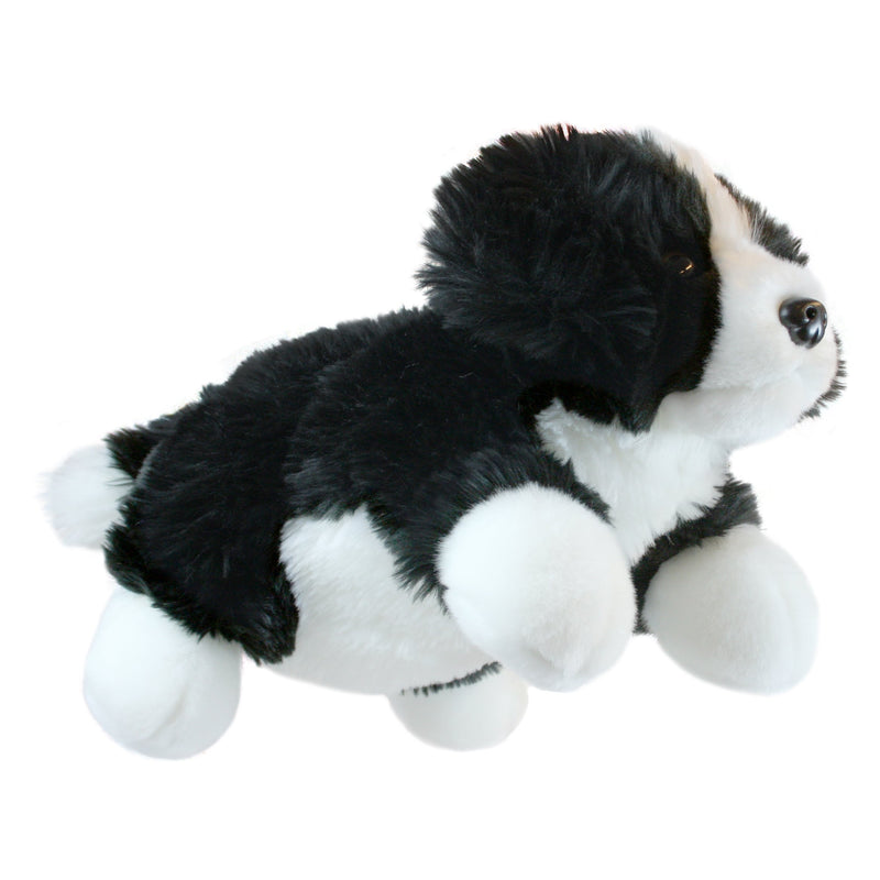 The Puppet Company | THE PUPPET COMPANY FULL BODIED PUPPET - BORDER COLLIE