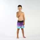 Hello Stranger | Fade Board Short-Purple