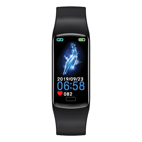Cactus | MAJOR, CAC-133-M01 Watch - Black