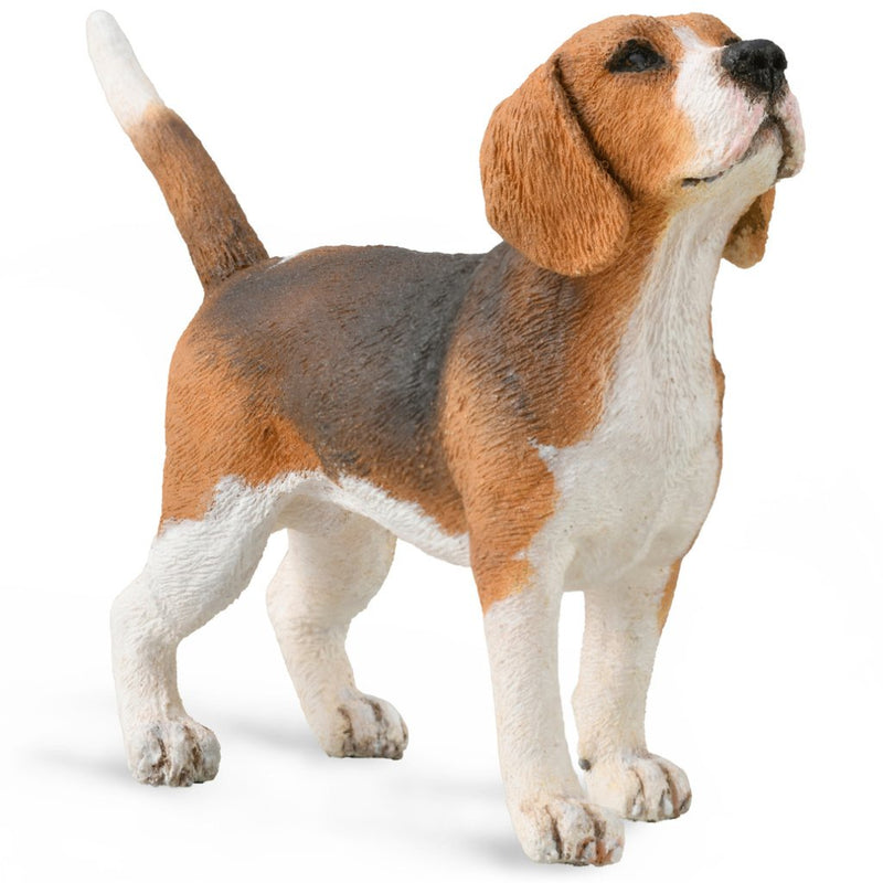 CollectA | Beagle