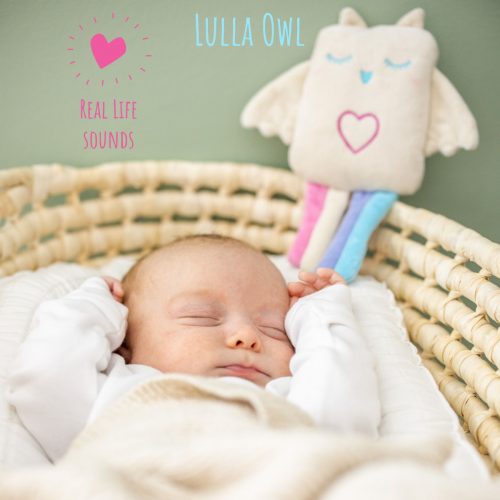 Lulla Owl Sleep Companion