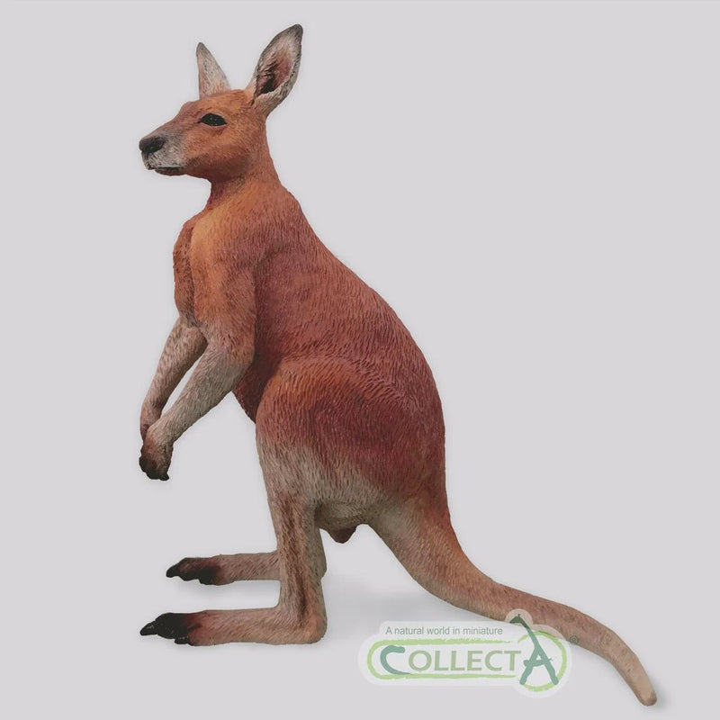 CollectA | Red Kangaroo Male