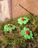 Mini Lady Bug on Leaf