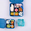 Montiico | Lunch Punch-Shark