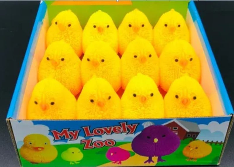 Chick Soft Squeeze Toy