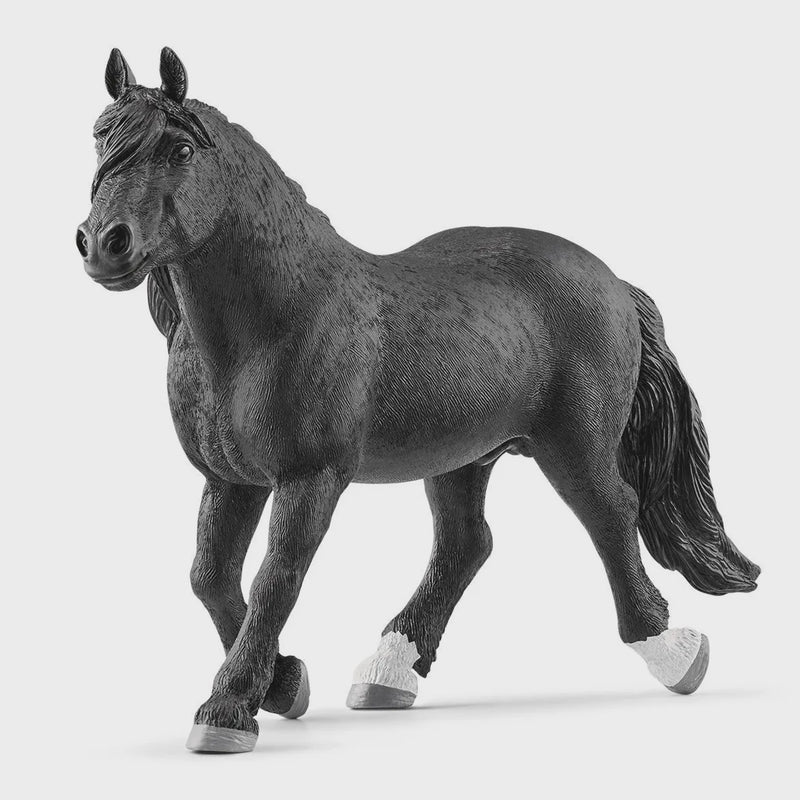 Schleich | Noriker Stallion