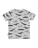 Radicool | Tropical Whale Tee
