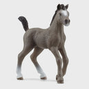 Schleich | Selle Francias Foal