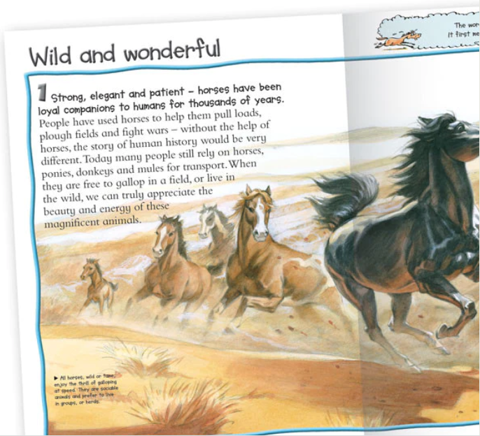 100 Facts Horses and Ponies