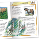 100 Facts Horses and Ponies