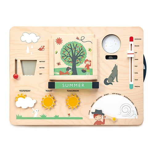 Tender Leaf  Toys | Wooden Weather Station