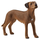 Schleich | Rhodesian Ridgeback Dog