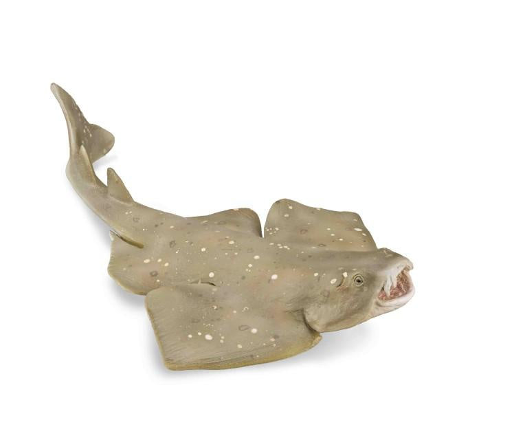 CollectA | Angel Shark