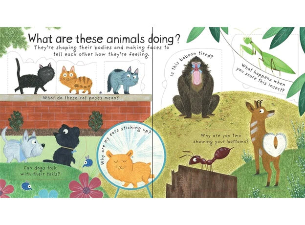 Lift the Flap First Q & A: How Do Animals Talk?