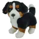 Antics | Jesse Farm Dog Standing