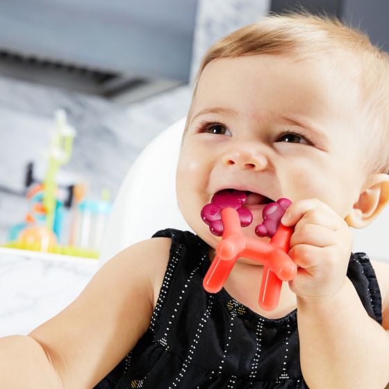 Boon | GROWL  or PRANCE SILICONE TEETHER