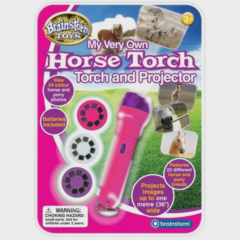 Brainstorm My Very Own Horse Torch and Projector