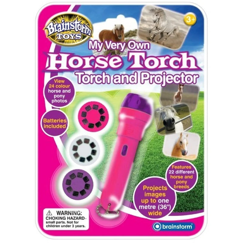 Brainstorm My Very Own Horse Torch and Projector