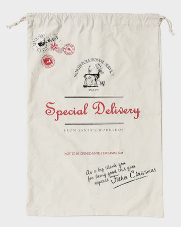Christmas Santa Sack - Special Delivery - Large