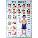 Mind To Mind Educational My Body Poster