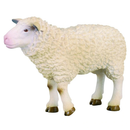 CollectA | Sheep