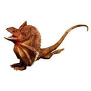 Frilled Lizard