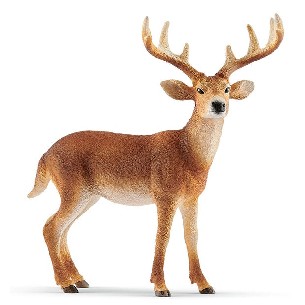 Schleich | White-Tailed Buck