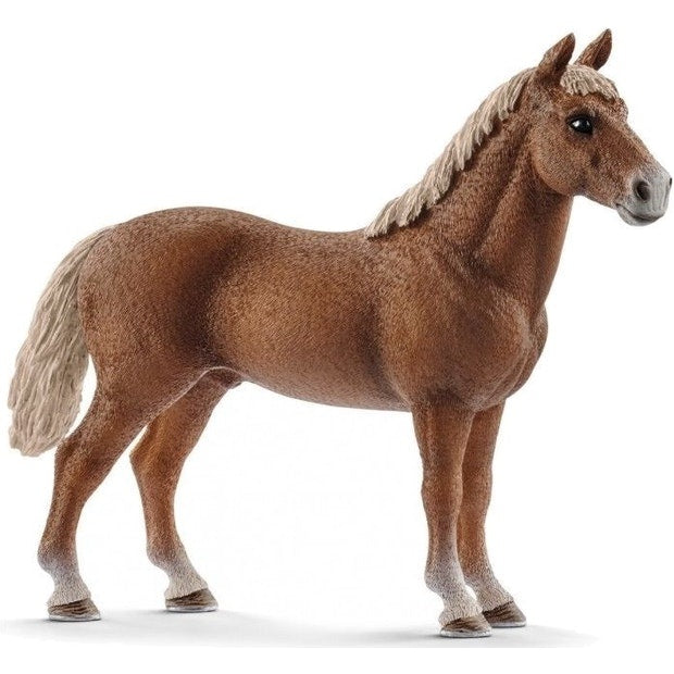 Schleich | Morgan Horse Stallion