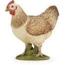 Papo |  Red Hen
