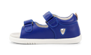 Bobux | I Walk Rise Sandal - Blueberry