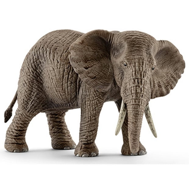 Schleich | African Elephant - Female