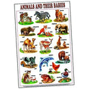Educational Poster Animals & Their Babies