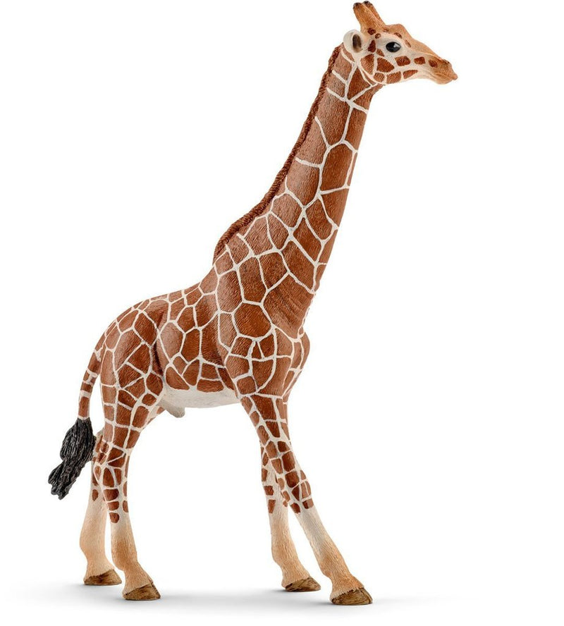 Schleich Male Giraffe