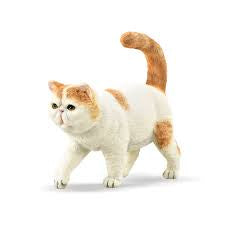 CollectA | Exotic Shorthair Cat