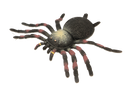 FUMFINGS STRETCHY BEANIE TARANTULA
