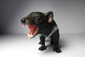 Collecta | Med Tasmanian Devil