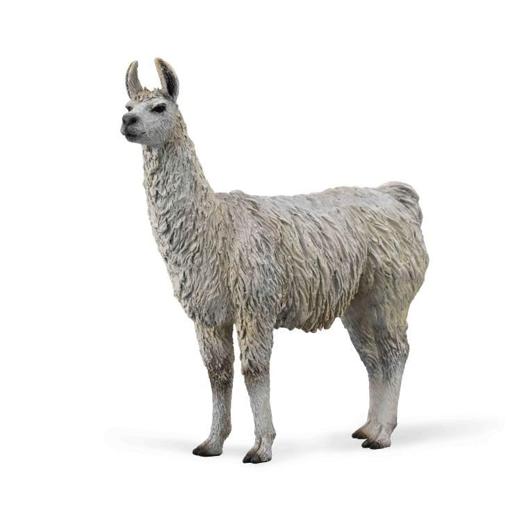 CollectA | Llama