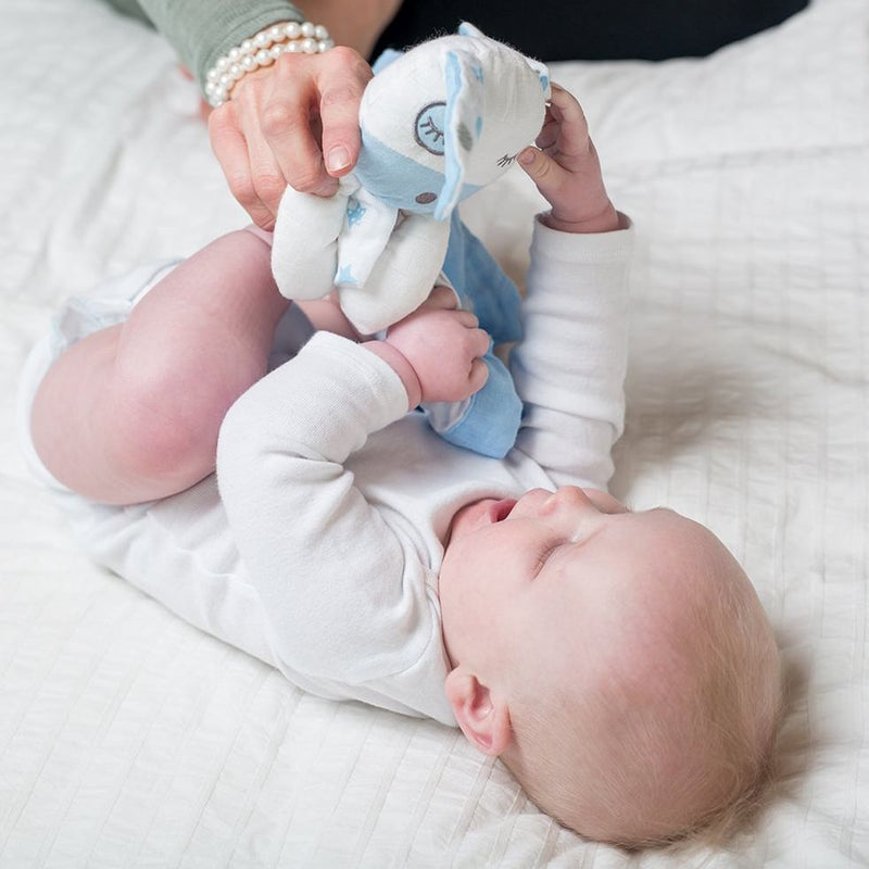 Lulujo | Blue Puppy Muslin Lovie