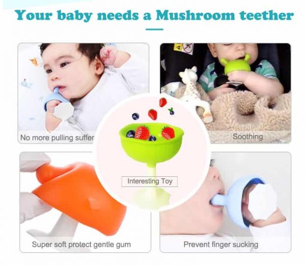 Mombella Mushroom Teether Asstd - Main Image