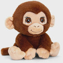 Adoptables | Monkey