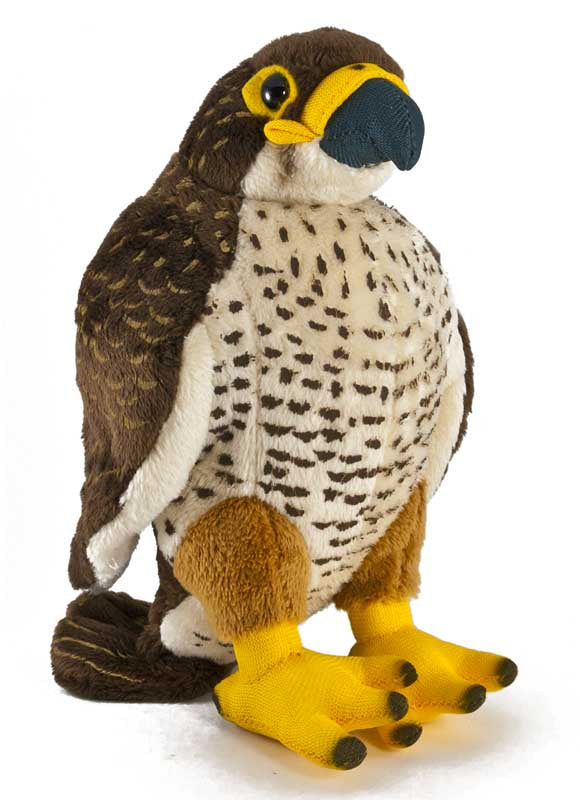 Sound Puppet | Karearea (NZ Falcon) Soft Toy w/ Real Sound