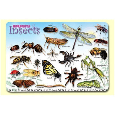 Learning Placemats – Bugs and Insects