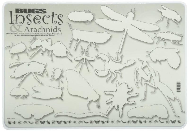 Learning Placemats – Bugs and Insects