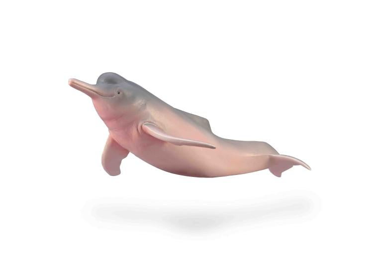 CollectA | Amazon River Dolphin